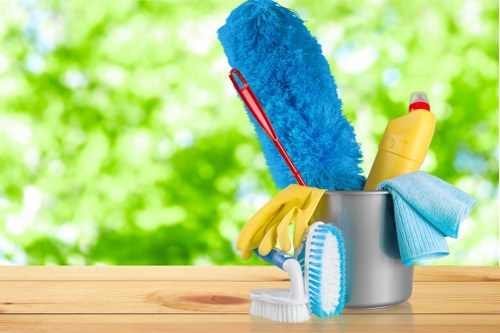 Professional rug cleaning service for a home in Hackney