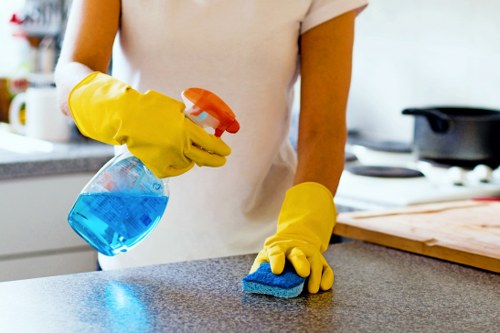 Cleaner working in a Hackney home during a regular cleaning visit