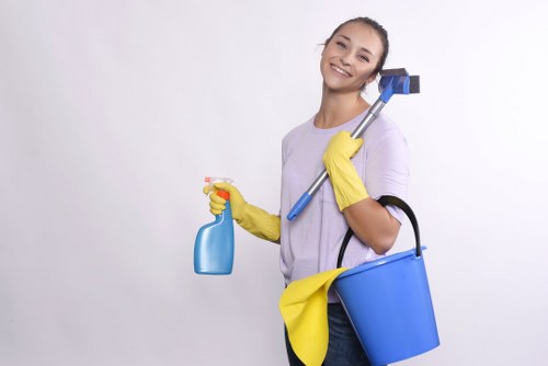 Upholstery and carpet stain treatment for Hackney residential customers