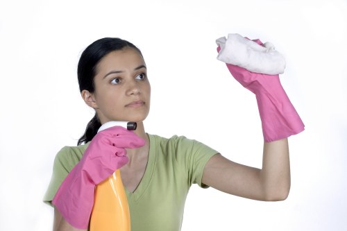 Professional window cleaning equipment used on an upper floor